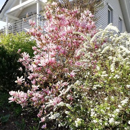 Gaestezimmer Ahornweg Villingendorf 外观 照片